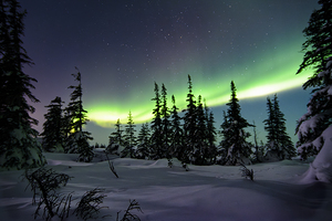 Dancing Skies beyond the Treeline 1