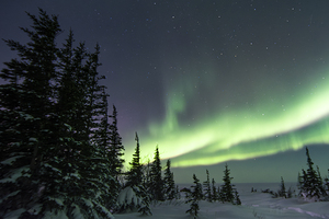 Dancing Skies beyond the Treeline 2