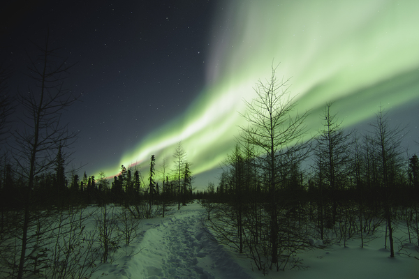 Illuminated by the Northern Lights Print