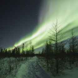 Illuminated by the Northern Lights