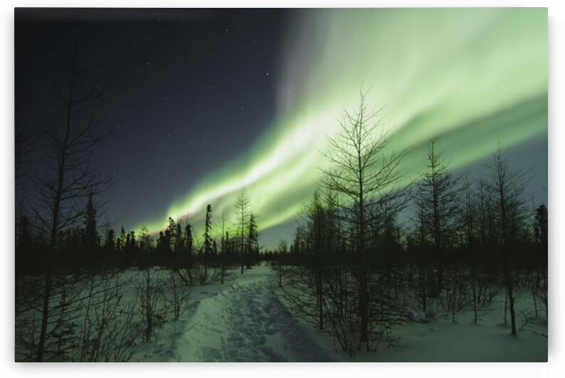 Illuminated by the Northern Lights by Edward Savage