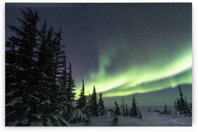 Dancing Skies beyond the Treeline 2 by Edward Savage