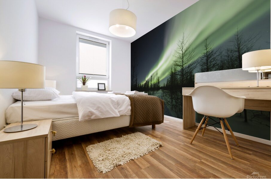 Illuminated by the Northern Lights Mural print