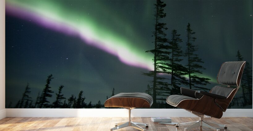 Purple Blaze Wall Murals