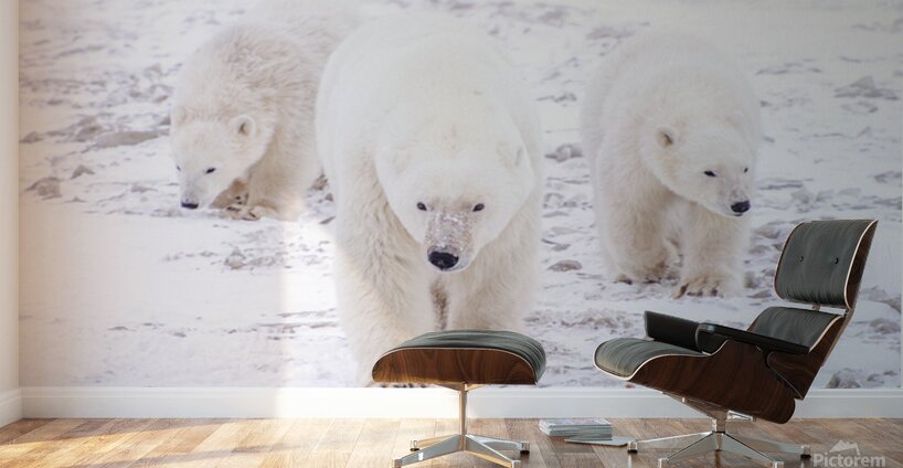 Stay By Her Side Wall Murals