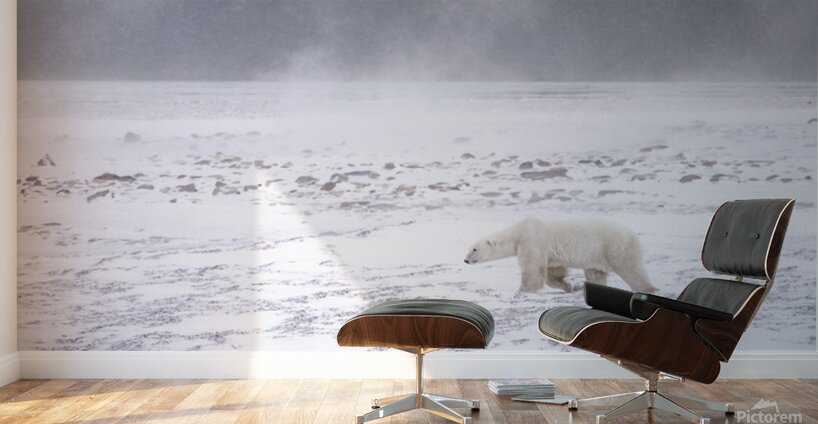 Storm Evader Wall Murals