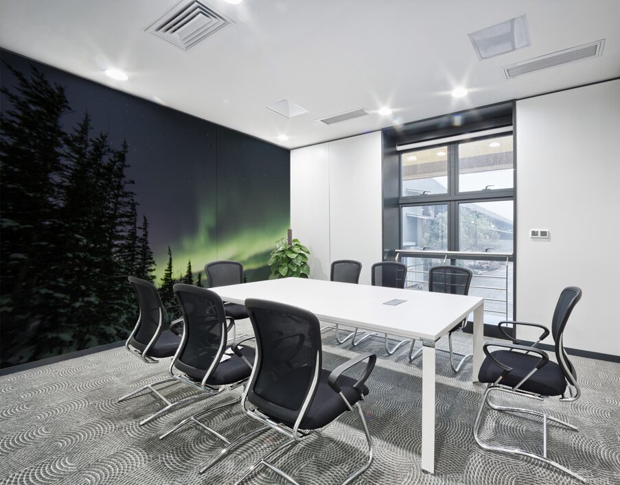 Dancing Skies beyond the Treeline 2 Wall Printing