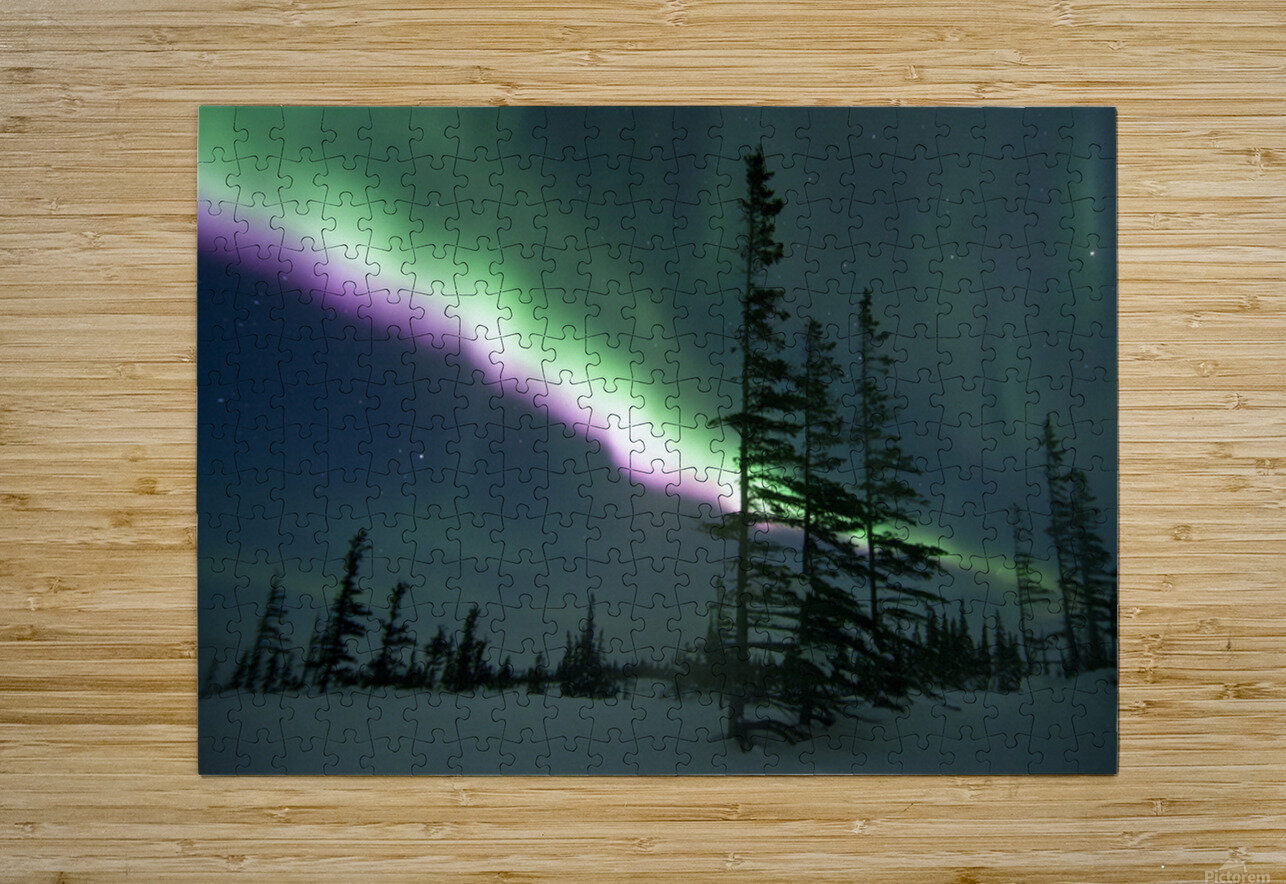 Purple Blaze Edward Savage Puzzle printing