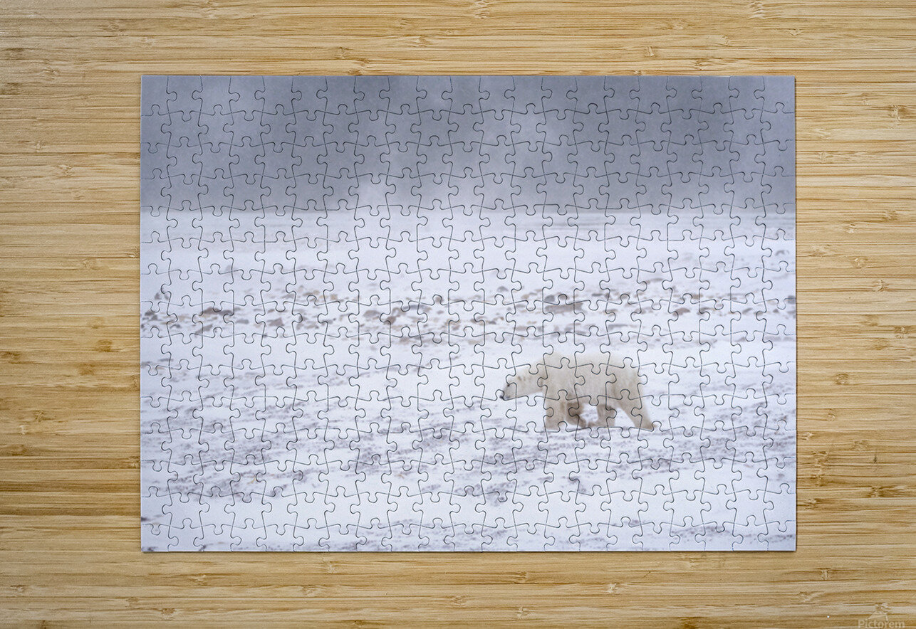 Storm Evader Edward Savage Puzzle printing