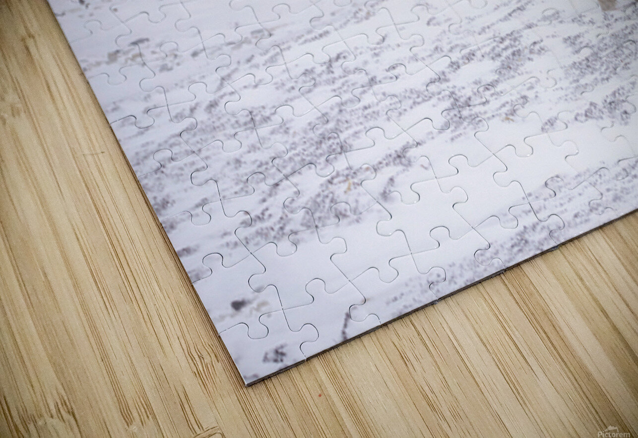 Storm Evader Edward Savage Puzzle