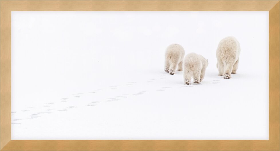 Impression de cadre personnalisé