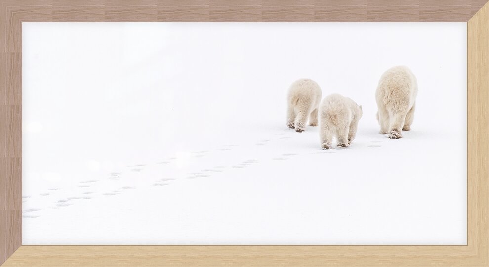 Impression de cadre personnalisé