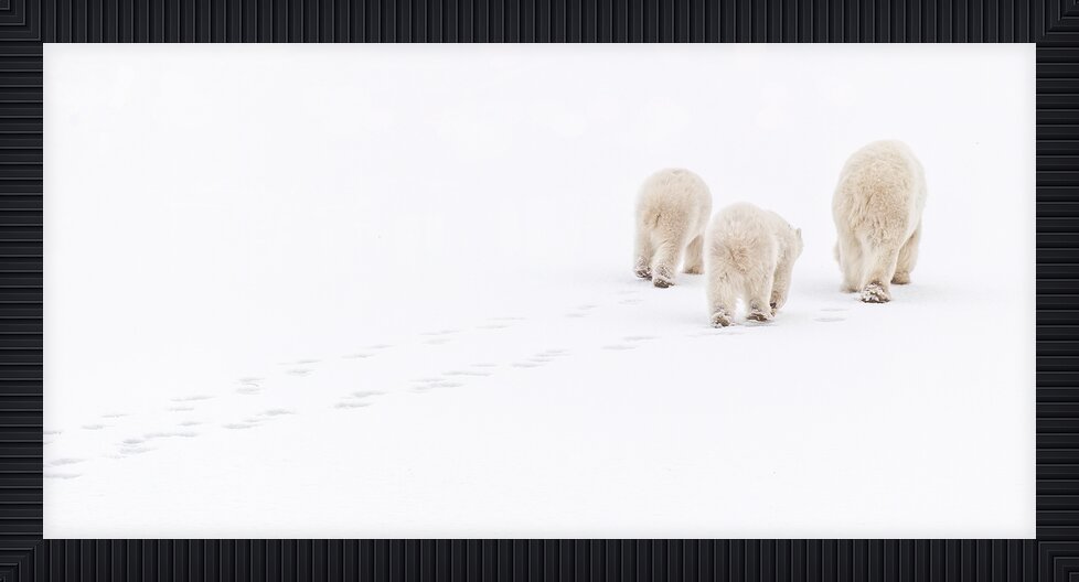 Impression de cadre personnalisé