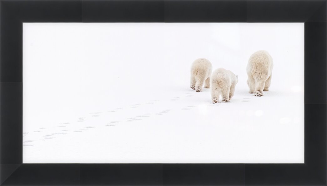 Impression de cadre personnalisé