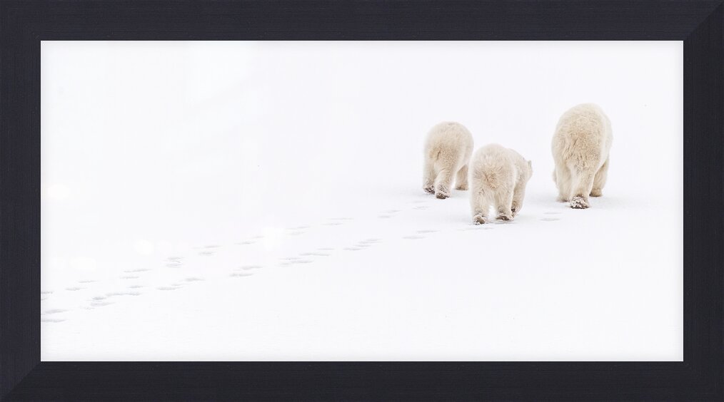 Impression de cadre personnalisé