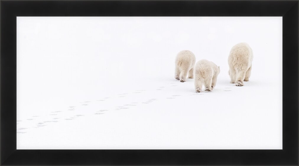 Impression de cadre personnalisé