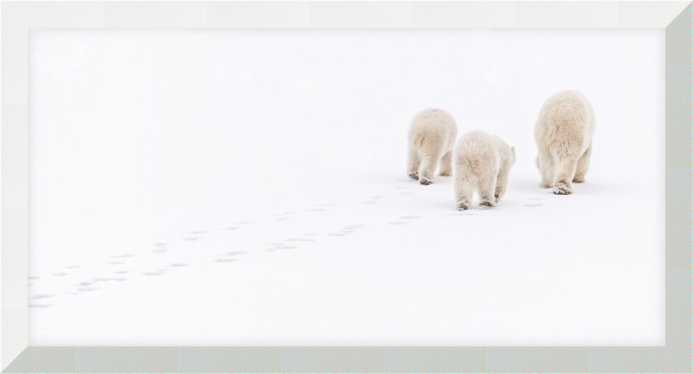 Impression de cadre personnalisé
