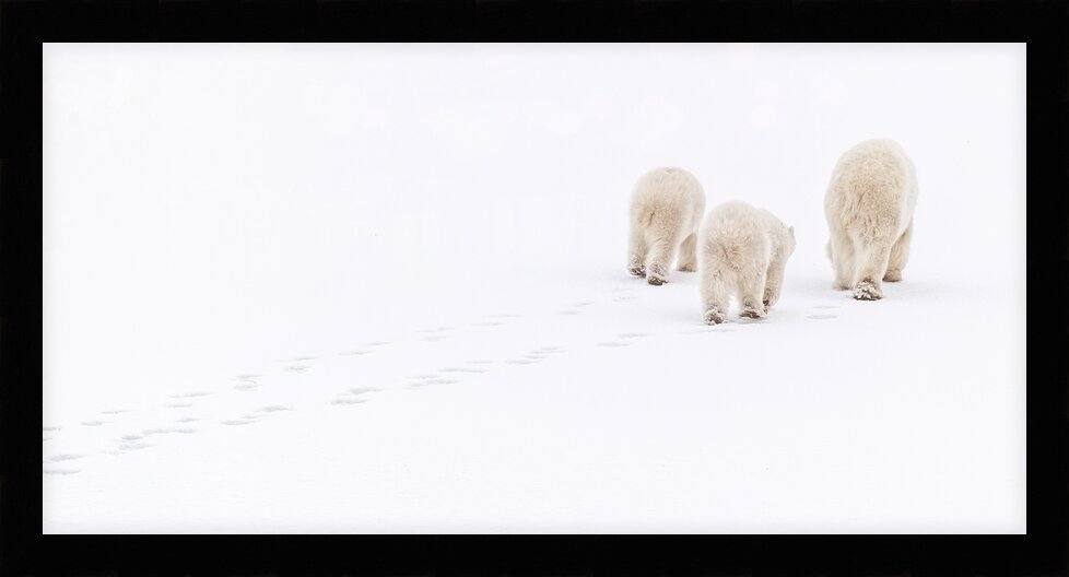 Impression de cadre personnalisé