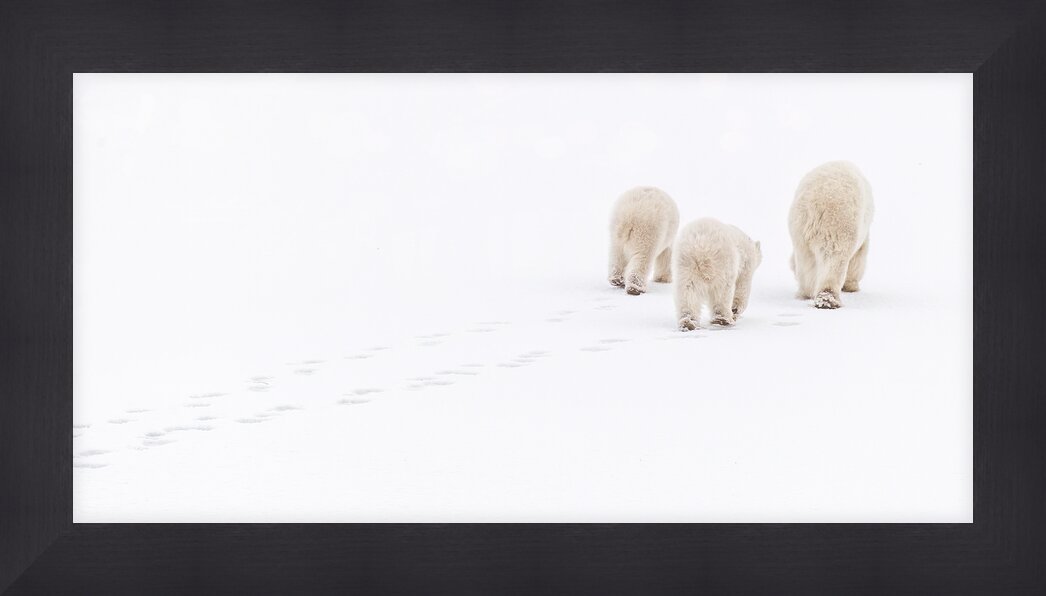 Impression de cadre personnalisé
