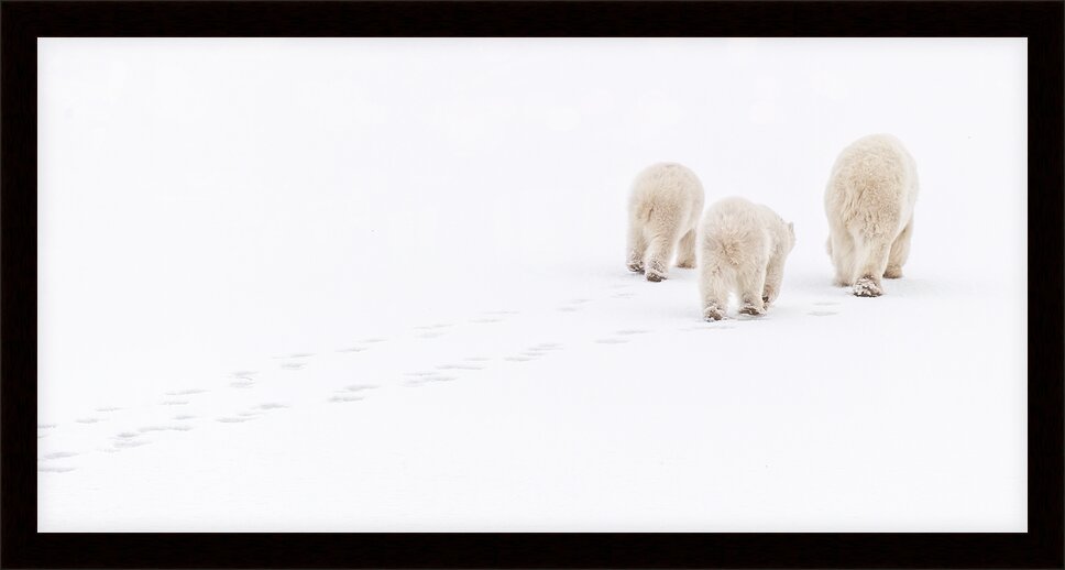 Impression de cadre personnalisé