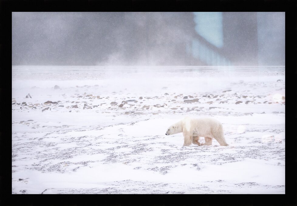 Impression de cadre personnalisé