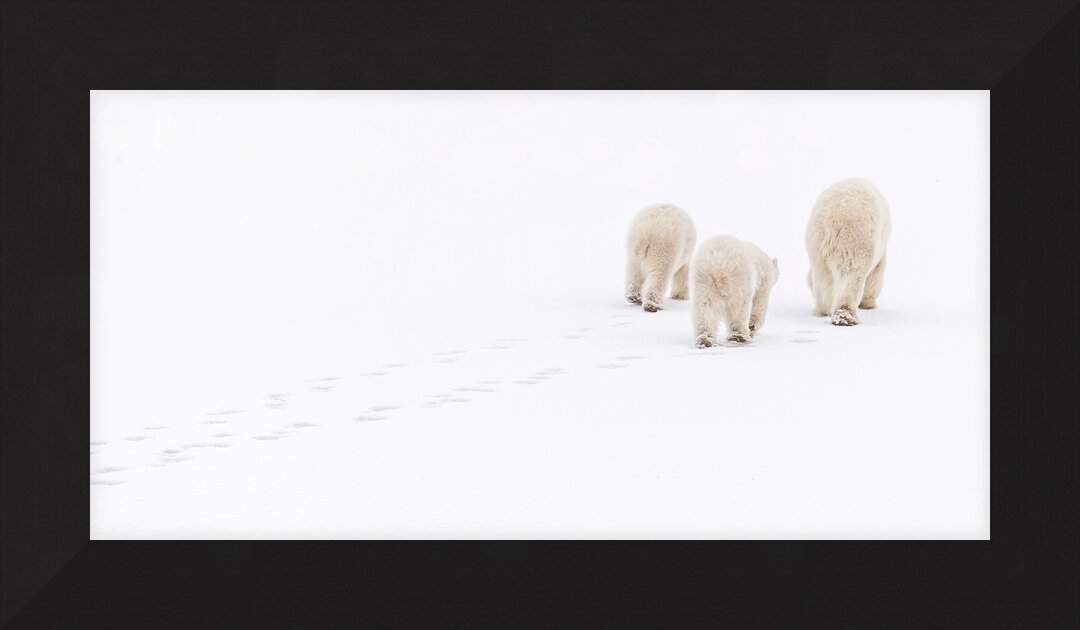Impression de cadre personnalisé