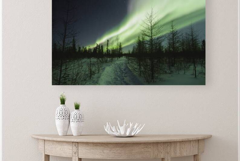 Illuminated by the Northern Lights by Edward Savage