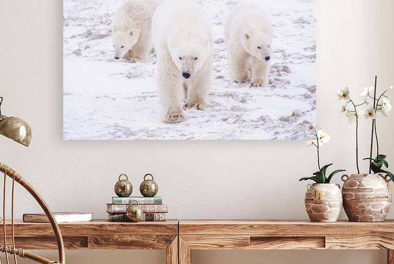 Stay By Her Side by Edward Savage